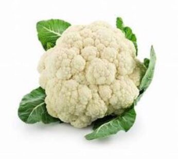 Fresh Cauliflower 1 pcs