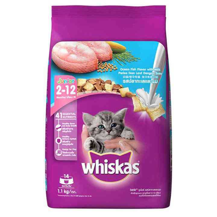 Whiskas Junior 2 12 Months Ocean Fish Flavour with Milk 1.1 kg