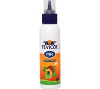 Fevicol Mr White Adhesive 45G