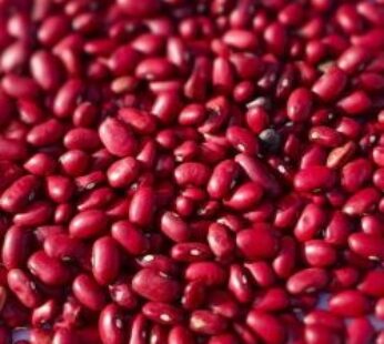 Red Rajma 500g