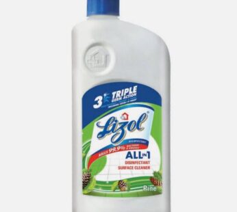 Lizol All IN 1 Disinfectant Surface Cleaner Pine (975ML)
