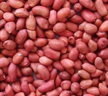 Raw Ground Nut peanuts 250gms