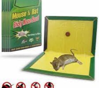Mouse And Rat Glue Pad 1N