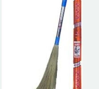 Monkey 555 International Steel