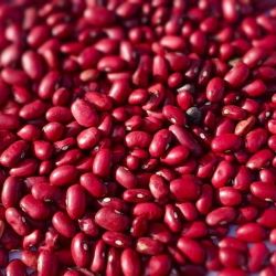 Red Rajma 500g